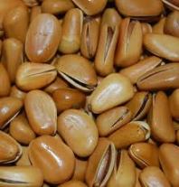 Chinese Pine Nuts in their Shell