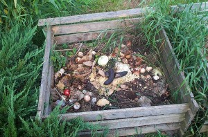 Composted Kitchen Waste